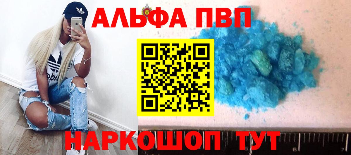 Alfa_PVP СК Новороссийск