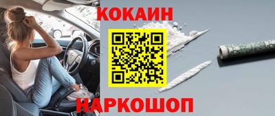 шишки Тара