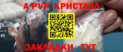 шишки Тара