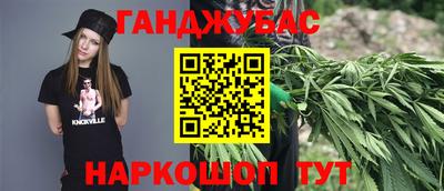 шишки Тара