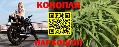 шишки Тверь
