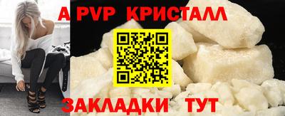 шишки Тверь