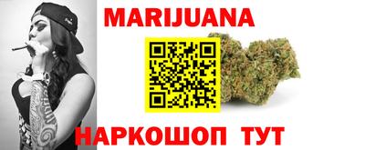шишки Тара