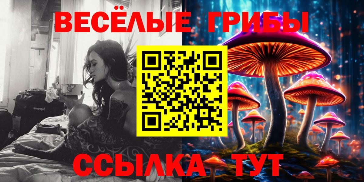 Галлюциногенные грибы Psilocybe  Вход с VPN  Новороссийск 
